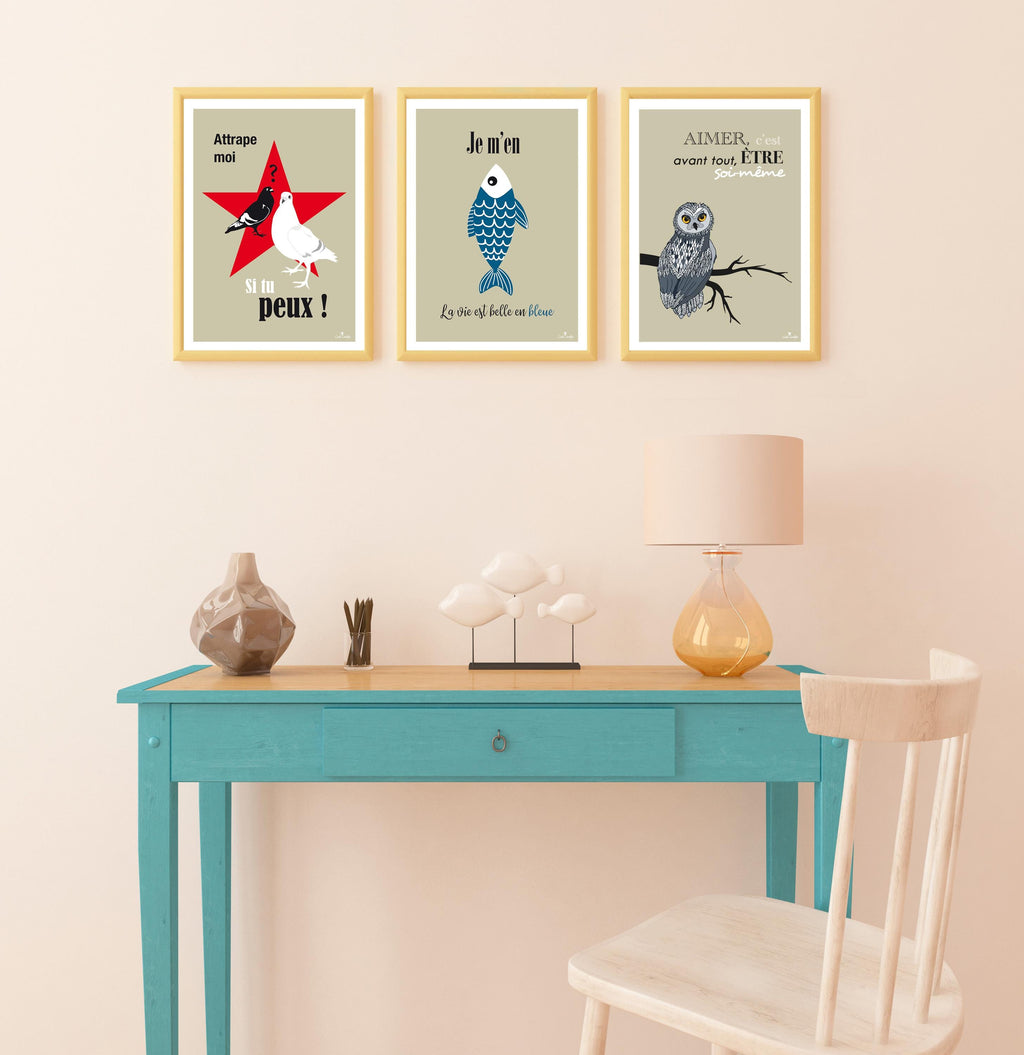 Lot de 3 affiches A4 encadrées avec pigeon, poisson et chouette.