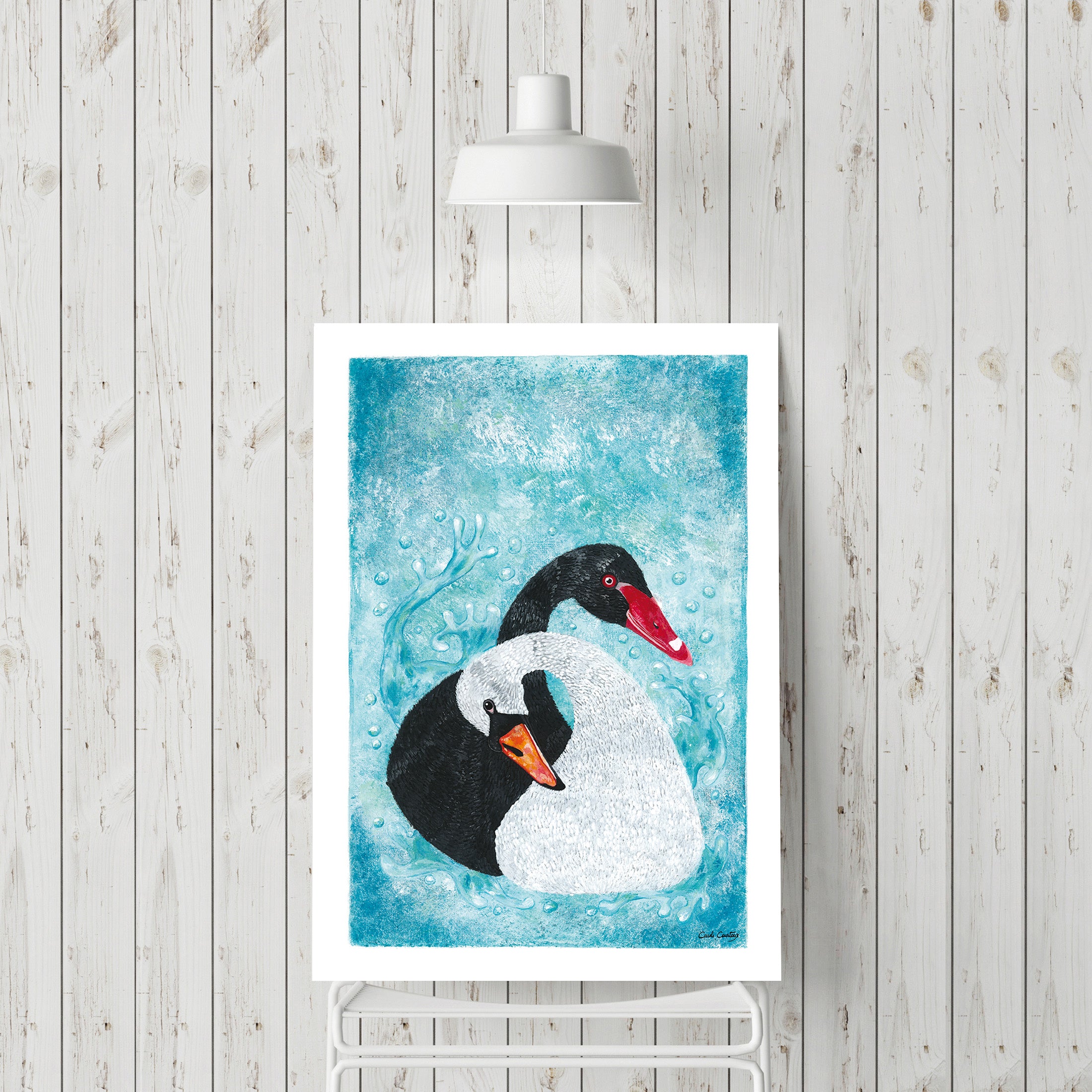 Affiche encadrée d’un cygne noir et blanc nageant dans un fond bleu aquatique